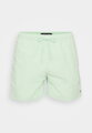 UM0UM03477  pánske plavky TOMMY HILFIGER  LXY - OPAL GREEN